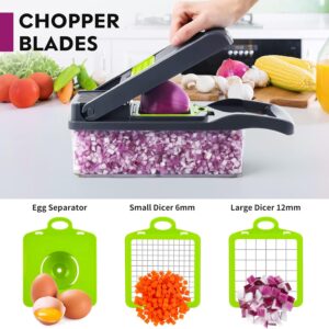 Vegetable Chopper, Pro Onion Chopper, Multifunctional 13 in 1 Food Chopper, Kitchen Vegetable Slicer Dicer Cutter,Veggie Chopper With 8 Blades,Carrot and Garlic Chopper With Container (Gray)